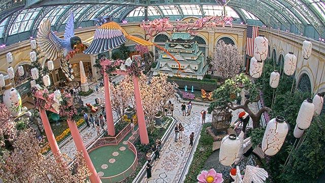 Executive Director of Production - Video, Bellagio Conservatory
