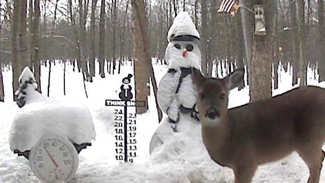 Ken Borton, Snowman Cam